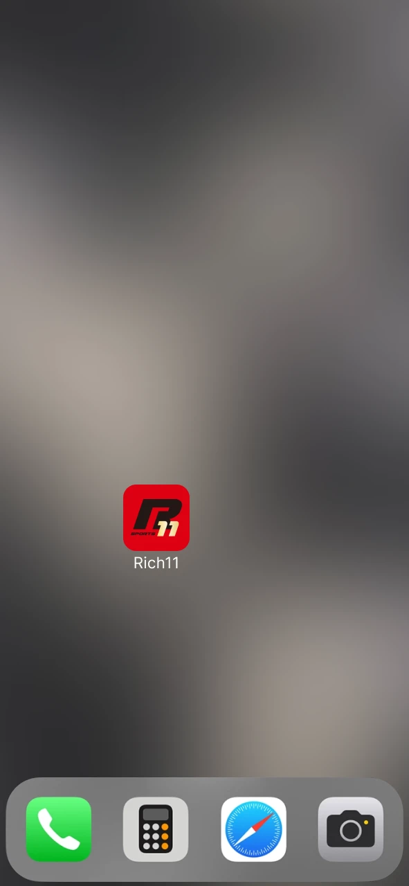 Open the Rich11 app from your home screen and access all features instantly.